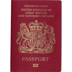 track irish passport application online