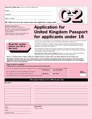 print british passport application form