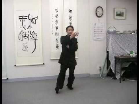 yang style tai chi applications fighting techniques