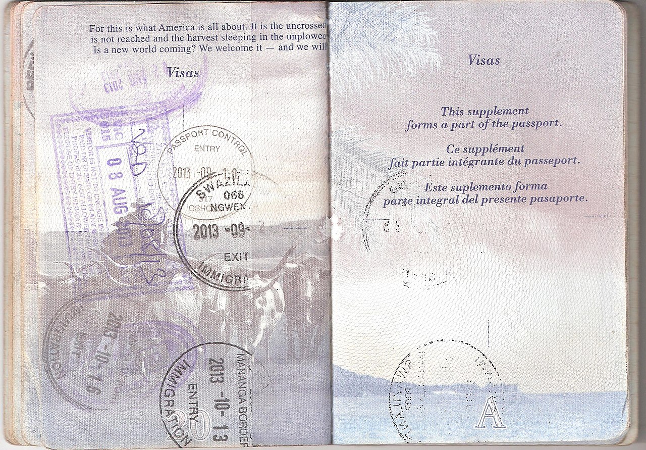 what is file number in passport application