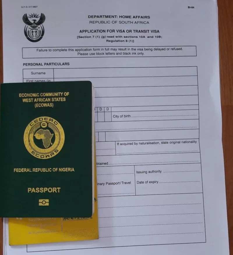 filled south africa visa application form