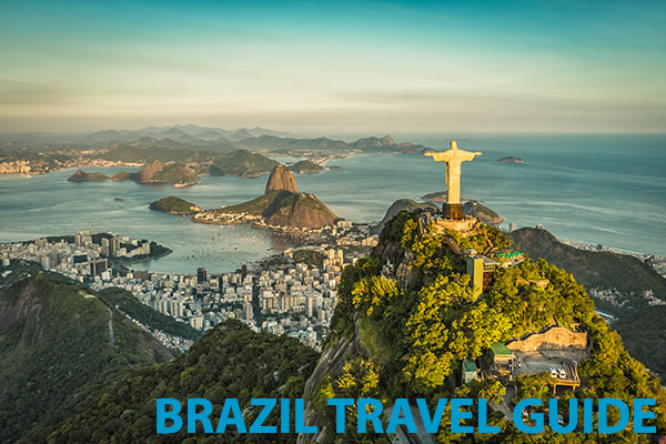 brazil travel visa application form
