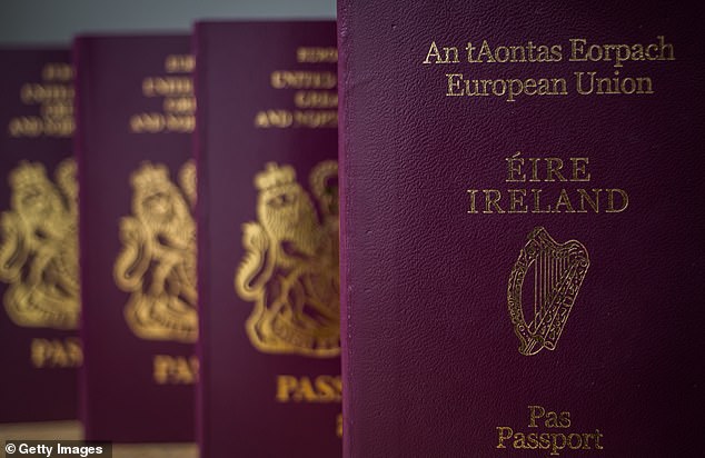 track irish passport application online