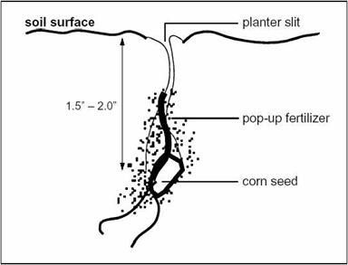 methods of fertilizer application in fruit crops