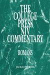 niv application commentary psalms volume 2